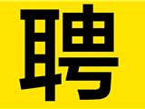 苍南交运龙港分公司 招聘公交司机启事