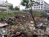 居民屋后垃圾肆意倾倒 无人清理