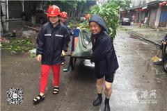 苍南县消环公益服务中心在行动