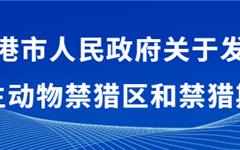 为期6个月！龙港禁猎通告→