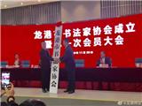 快讯：龙港市书法家协会成立 吴泉当选为主席