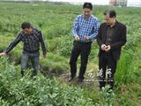 王忠秀：践行群众路线就是为群众办实事办好事