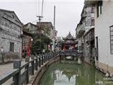 保护和传承龙港历史文化遗产的建议
