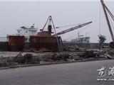 种树容易护树难 沿江路绿化带又成垃圾带