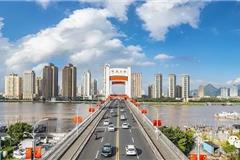胡克嘉 摄 《龙港新姿》