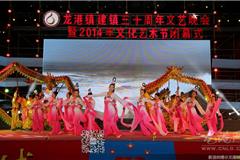 今夜星光灿烂，今夜龙港无眠，昨天晚上，龙港镇建镇30周年文艺晚会暨2014年文化艺术节闭幕式在财富广场隆重举行。县委常委、龙港镇委书记丁振俊，县统战部副部长赵家沈、县文明办主任郑德菊、镇长王忠秀（副县长级）、镇人大主席上官光强、镇委副书记李孝取、黄贤满、吕存阳等领导观看了演出。