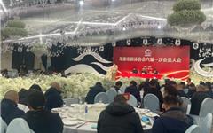 龙港市游泳协会换届