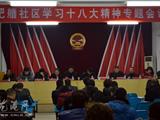 舥艚社区：学习贯彻十八大会议精神，加快舥艚腾飞发展