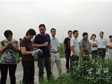 省农业专家来我镇指导双季水稻万亩高产示范片创建工作