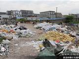 龙宁路上垃圾乱堆乱放 散发异味影响居民生活