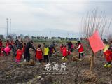 传递环保理念 龙港小志愿者植树绿化家园