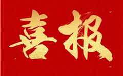 【喜报】华高师生在2025温州市政治小论文评审活动中再创佳绩