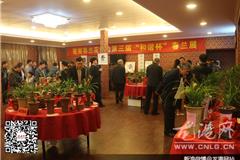 龙港网3月6日讯：今天上午，苍南县兰花协会第三届“和谐杯”春兰奖在龙港从进酒店举行，会展共有300余件兰花展出，吸引了500多人观看。评出栽培奖2个，特金奖2个，金奖10个，银奖15个，铜奖22个。