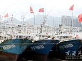 防御台风“苏拉” 龙港渔船进港避风  
