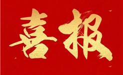 【喜报】华高师生在2025温州市政治小论文评审活动中再创佳绩