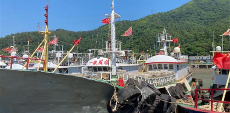 8月5日！龙港135艘渔船整装待发