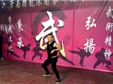 温州南拳名家汇聚龙港 为龙港南拳研究会周年庆助兴