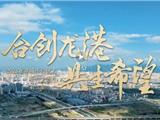 创新龙港，征集“合伙人”！