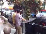 大树被风刮倒在轿车上 龙港生态、交警第一时间处置