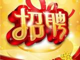 “职”等你来｜苍南县国企与龙港公安分局招聘信息