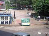 男子广场上用手机游戏诱拐 小孩不哭不闹被抱走