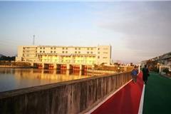 美翻！横阳支江绿道景观龙港段要完工了，一起来先睹为快吧！