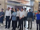 省政协副主席陈艳华来龙港视察城市发展情况