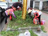 除草养护绿化正当时