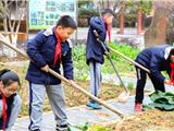 双减在龙港丨“双减”首个寒假：“写写写”少了 “玩玩玩”多了