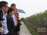人大代表投身剿劣攻坚战 全面开展专项监督活动