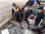 苍南警方抓获28人！