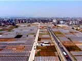 美丽田园丨龙港加速推进“美丽田园”创建工作