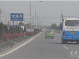 清明节短假第一天  龙港出行交通畅通