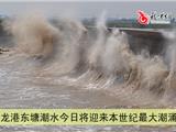 龙港东塘今日将迎来最大潮涌
