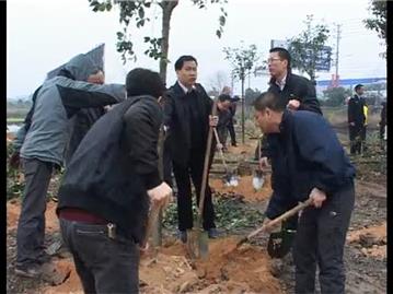 我为龙港添绿 共建美丽家园