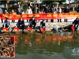 万只中华绒鳌蟹苗投放苍南县桥墩、马站河道