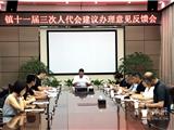 龙港镇召开人大代表意见建议反馈会