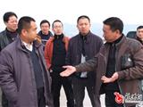 副县长李涛来我镇调研落实沿海防护林建设工作