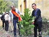 苍南同德爱心联合会组织志愿者义务植树