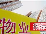 龙港商业街中心B-04、B-06地块商住楼（东盛花园）前期物业招标公告