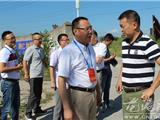 朱植丰率队调研龙港镇城中村改造工作