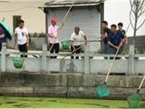 龙港：治水剿劣，党员干部在行动