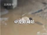 快讯：龙港第一码头发现一具浮尸