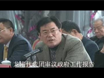 龙港代表团审议政府工作报告13
