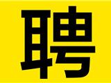 龙港市招聘政府高级雇员公告