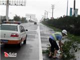 龙港路政抗击台风“莫拉克”