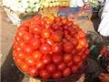西红柿“领衔”蔬菜涨价榜