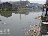 龙港一河道成垃圾渠 河道环境亟待改善