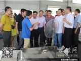 黄荣定调研龙港企业：树立信心坚守主业 注重创新驱动发展