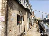 【直击现场】寻找龙港违建点 还河道水清岸美